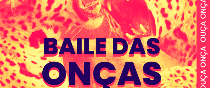 Baile das Onças – Episódio 2: O amigo da onça