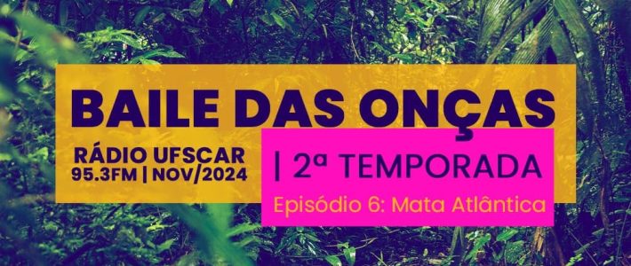 Baile das Onças – Episódio 6: Mata Atlântica