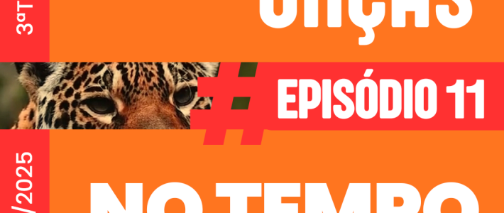 Baile das Onças – Episódio 11: No tempo do Onça