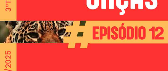 Baile das Onças – Episódio 12: Oncinhas