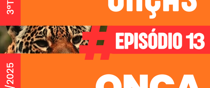 Baile das Onças – Episódio 13: Onça híbrida