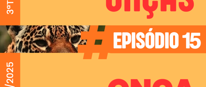 Baile das Onças – Episódio 15: Onça medicinal Baile das Onças – Episódio 15: Onça medicinal