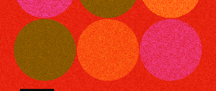 Tocaya no Buteco da Pista (24/01/2026) Tocaya no Buteco da Pista (24/01/2026)